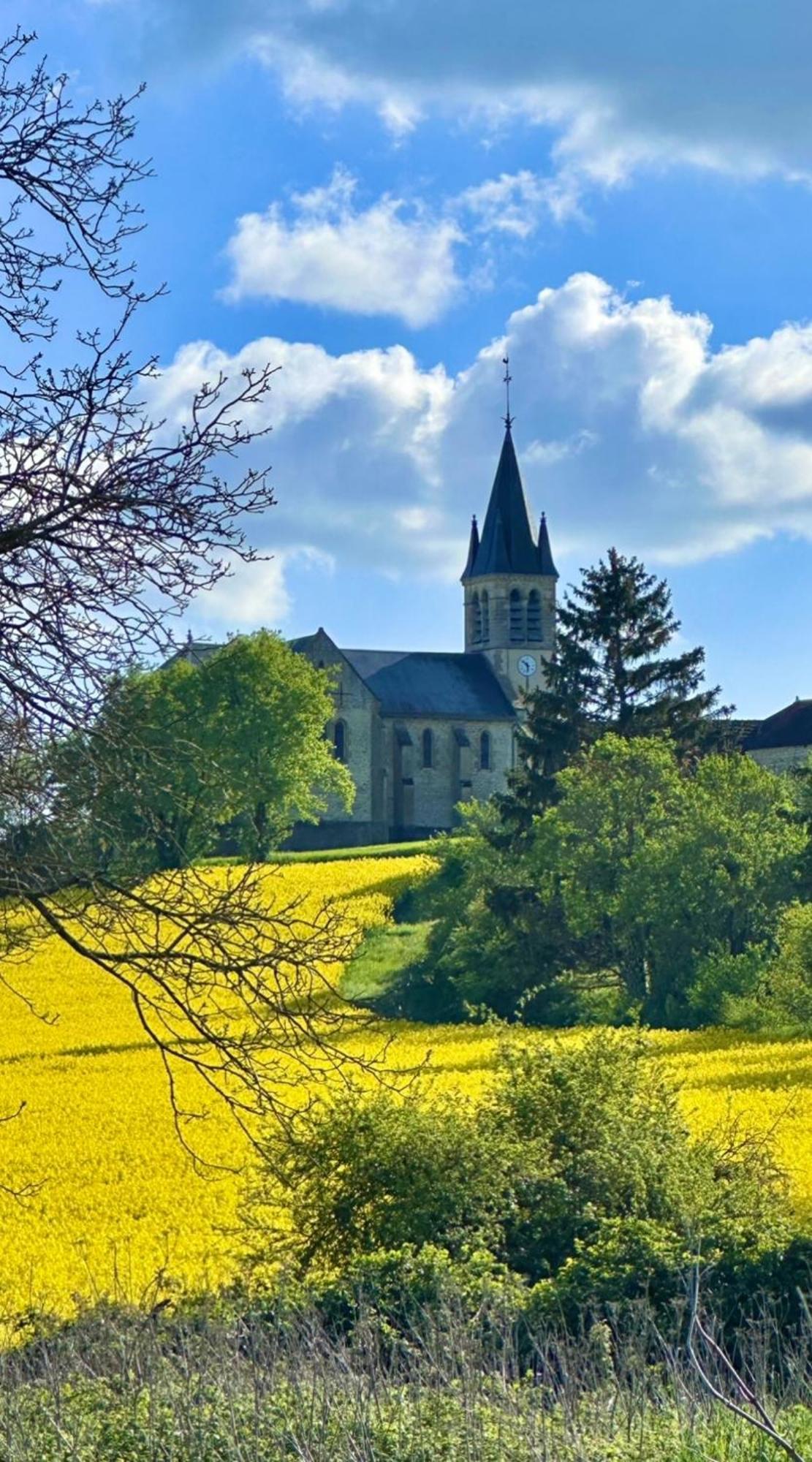 Bed and Breakfast La Cour Des Delices Gigny  Exterior foto